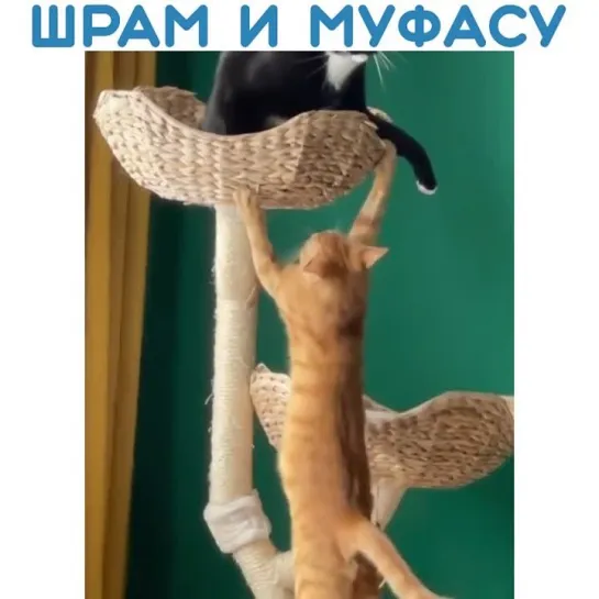 Да здравствует король