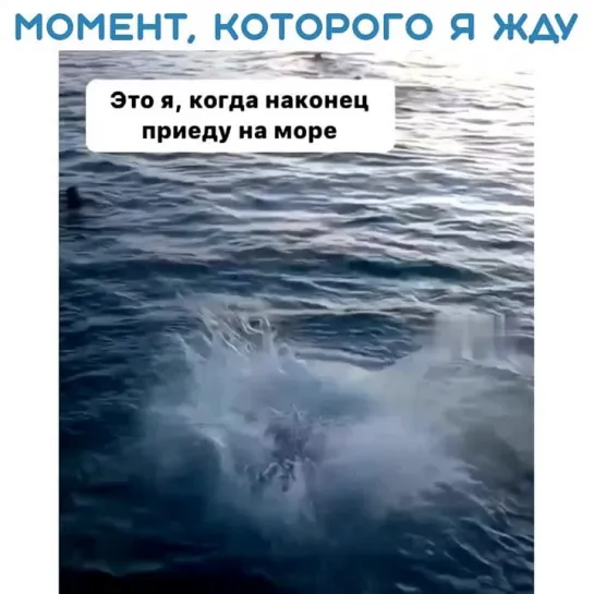 Хочу на море, а не это вот всё