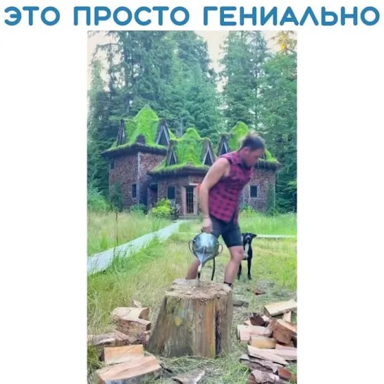 Незаменимая вещь