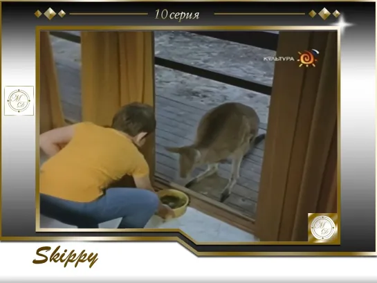 Skippy the Bush Kangaroo S1E10 No Time for Clancy / Кенгуру Скиппи 10 серия