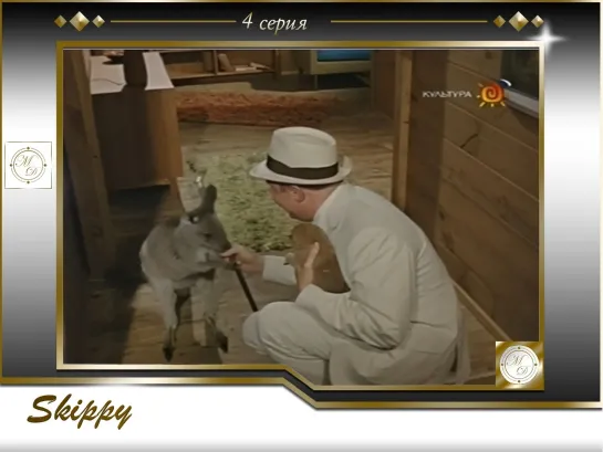 Skippy the Bush Kangaroo S1E05 Long Way Home / Кенгуру Скиппи 5 серия