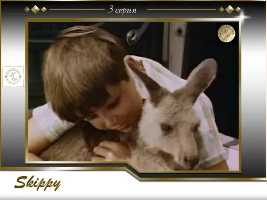 Skippy the Bush Kangaroo S1E03 Sports Car Rally / Кенгуру Скиппи 3 серия