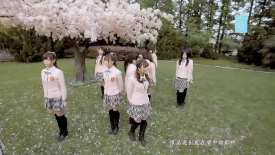 [PV]SNH48 - Sakura no ki ni narou (化作樱花树)