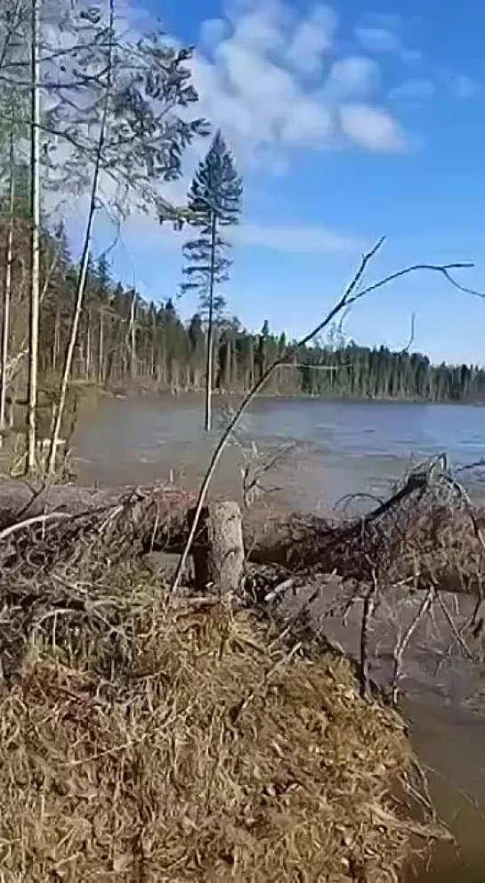 Видео от Вокруг света