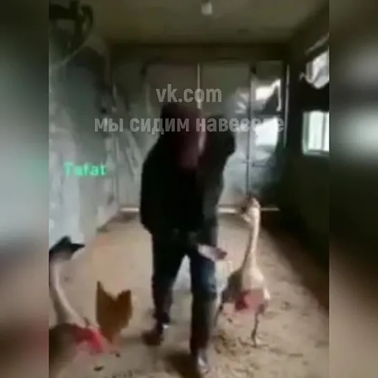 Это ж надо, какие таланты!