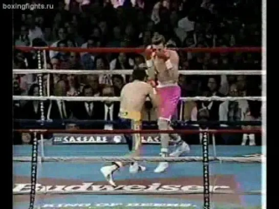 1996-02-09 Julio Cesar Chavez vs Scott Walker