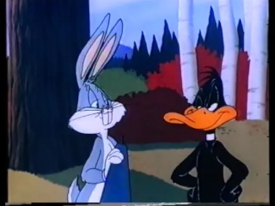 The Bugs Bunny Road Runner Movie