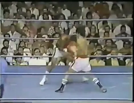 1980-07-17 Alfonso Zamora vs Melvin Johnson