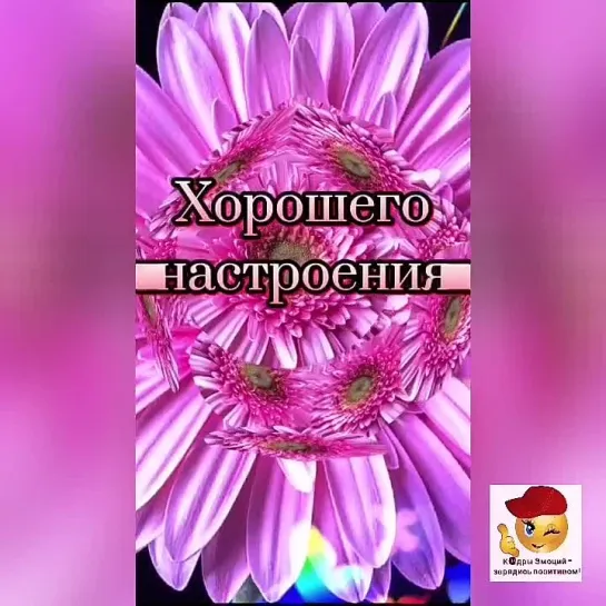 Вечерний привет🤩