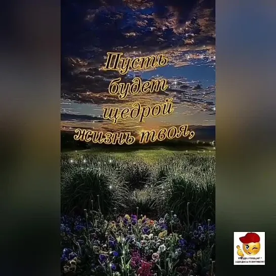 Вечерний привет🌺