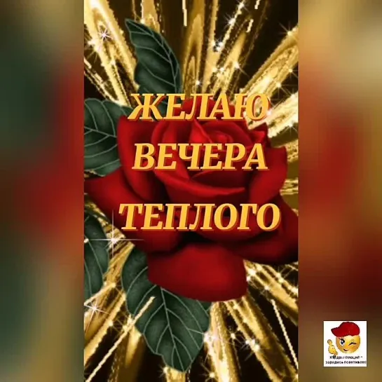 Добрый вечер✨✨✨