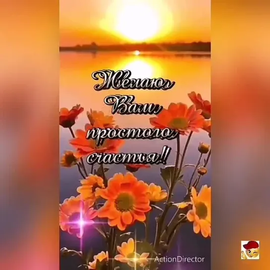 Вечерний привет❣️