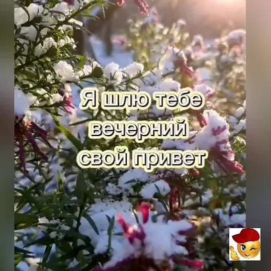 Вечерний привет🤩