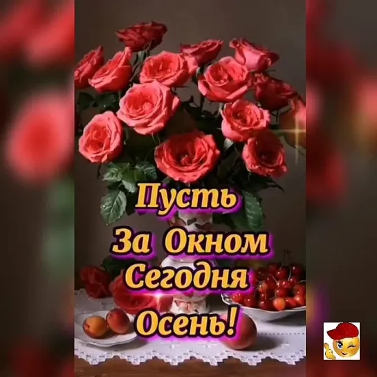 Добрый вечер✨✨✨