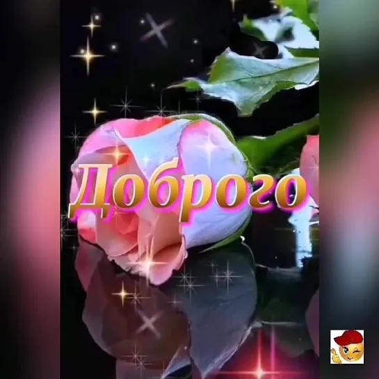 Добрый вечер🌺