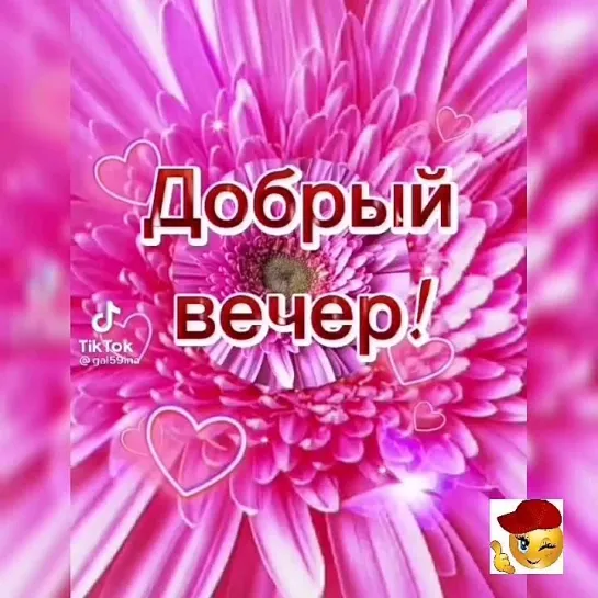 Добрый вечер✨✨✨