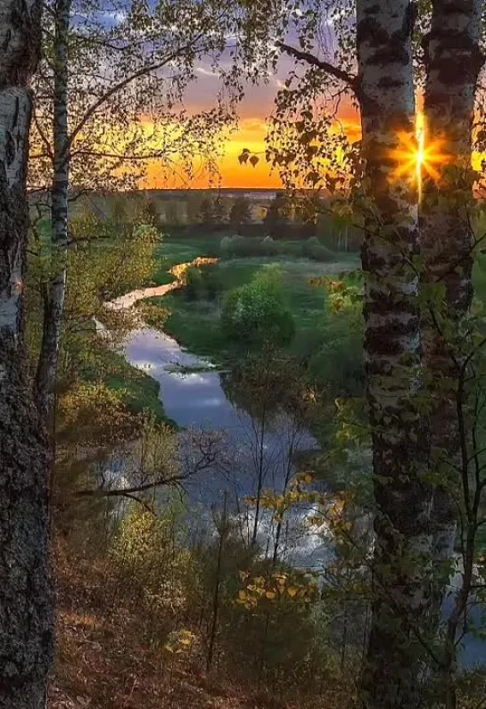 Приятного отдыха в этот вечер✨✨✨