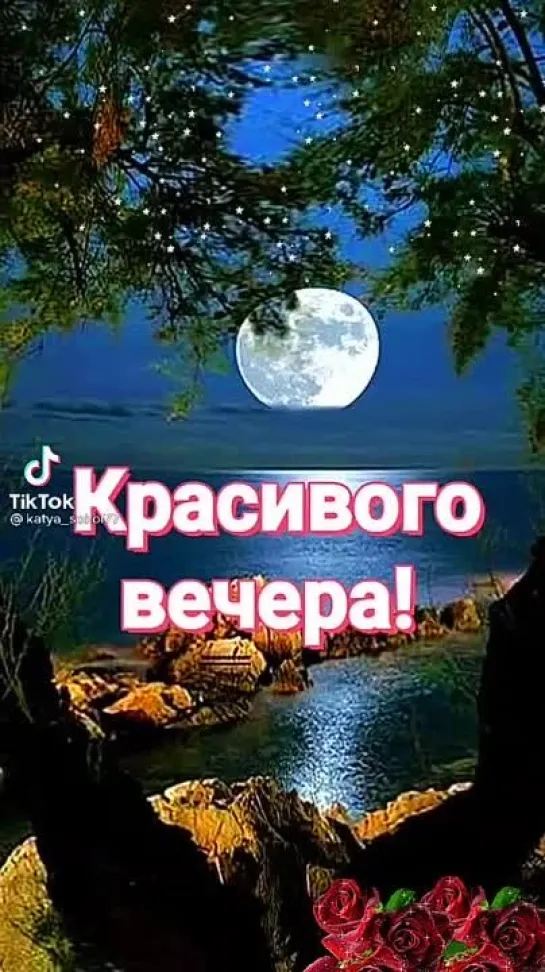 Красивого вечера✨✨✨