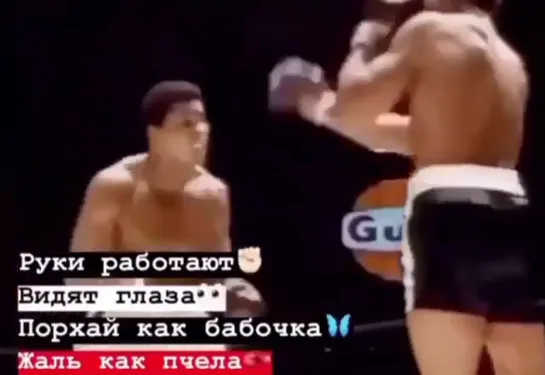 Muhammad Ali