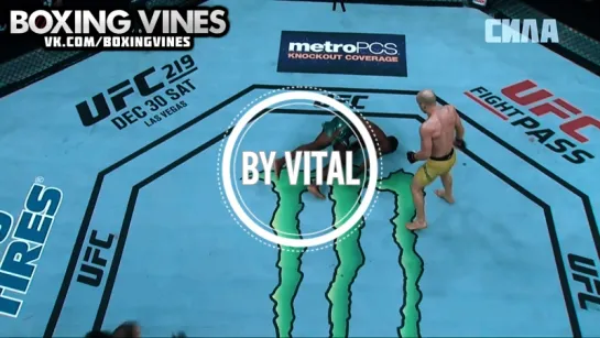 boxing vines by vital | vk.com/boxingvines