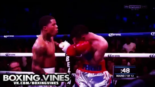 BOXING_VINES (Boxing Vines) l vk.com/boxingvines