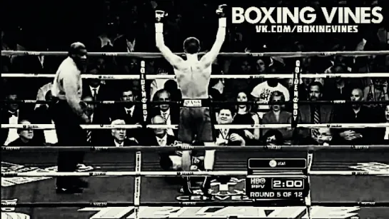 BOXING_VINES ( by Vital ) (Boxing Vines) l vk.com/boxingvines