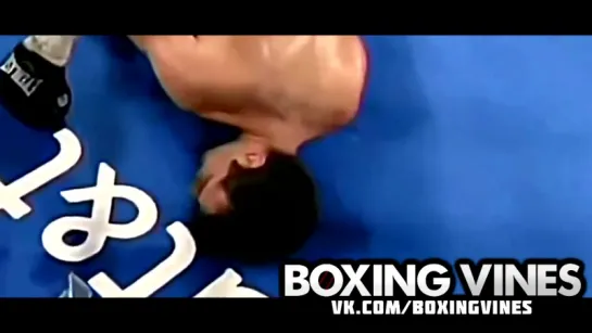 Нокаут (Boxing Vines) l vk.com/boxingvines