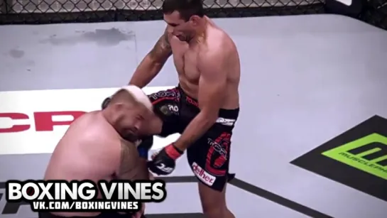 Fabricio Werdum vs Mark Hunt (Boxing Vines) l vk.com/boxingvines