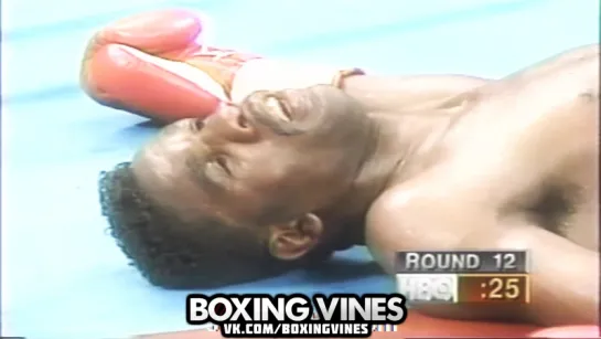 James Toney vs Williams (Boxing Vines) l vk.com/boxingvines