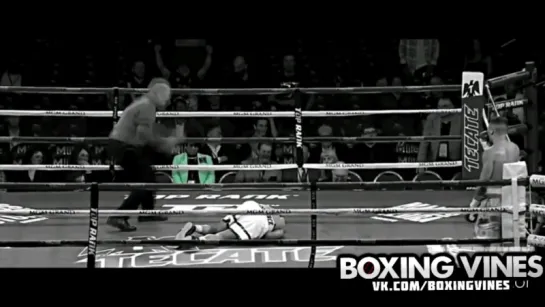 Gvozdyk by sagynov boxing vines