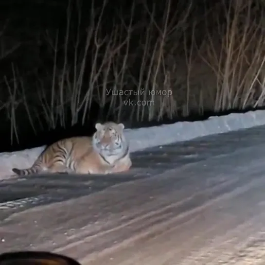 Видео от Находчивый Автолюбитель