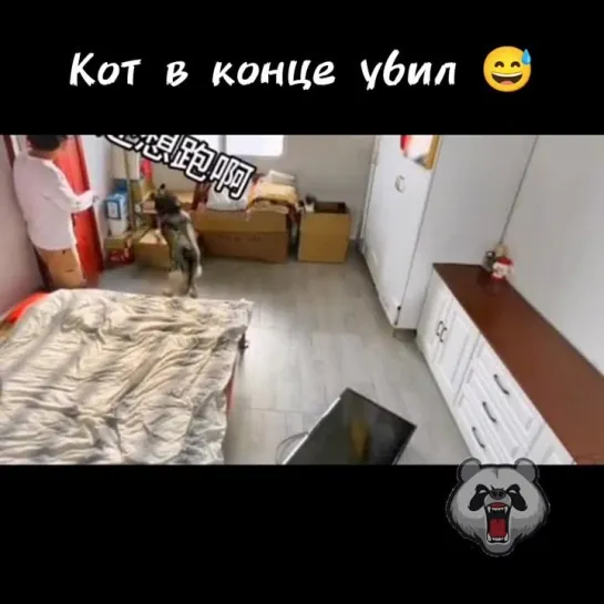 Видео от Злая Панда