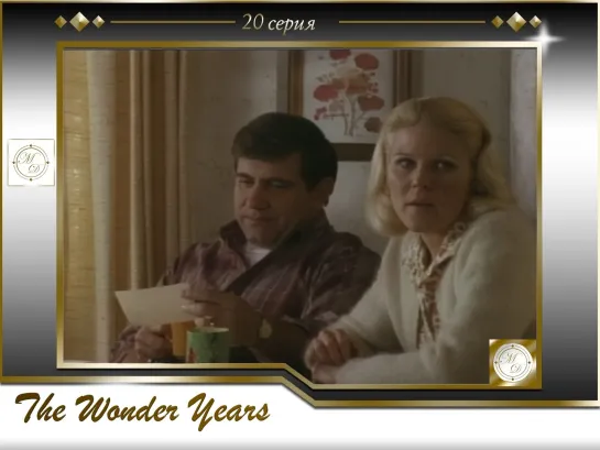 Чудесные годы 20 серия / The Wonder Years s02e14