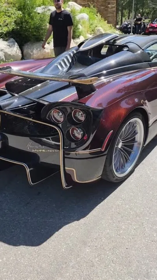 Pagani Huayra Dinamica Evo