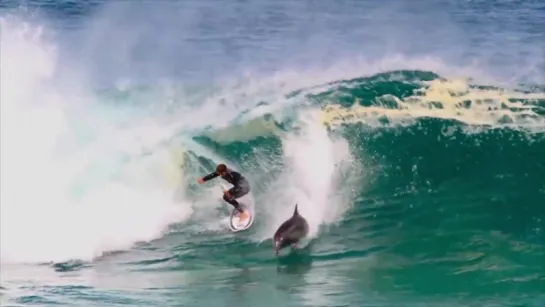 Amazing video shows cheeky dolphin dropping in on Aussie surfer Soli Bailey