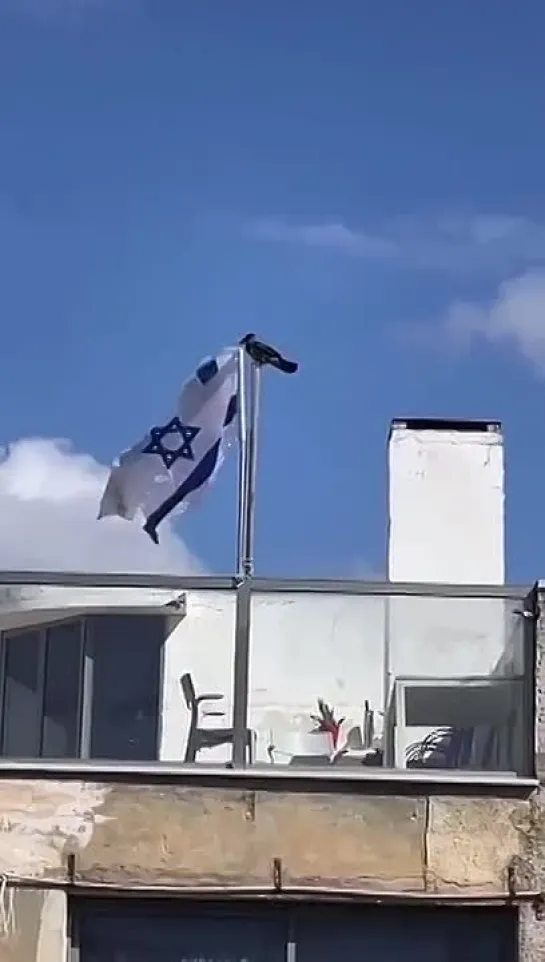 ✊Ворона и флаг🇮🇱