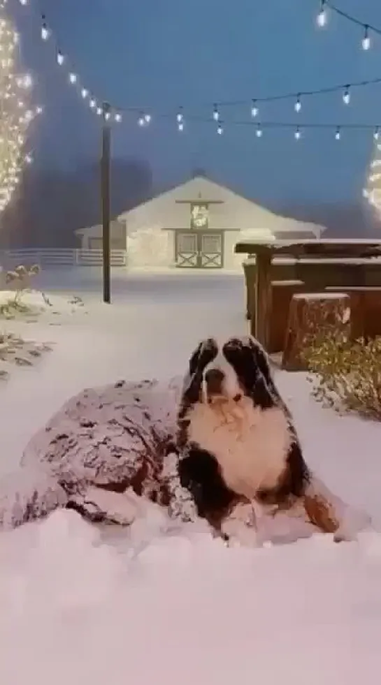 Видео от Людмилы Калиничевой