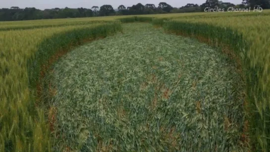 Crop Circles 2016 - Prudentópolis, Paraná, Brazil - 27th September 2016 - UFO 2016