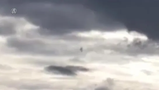 Mysterious Flying Creature In Pennsylvania