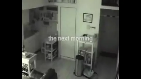 After hearing Strange Noises at Night, He Put a Hidden Camera in His Kitchen This is What He Found!