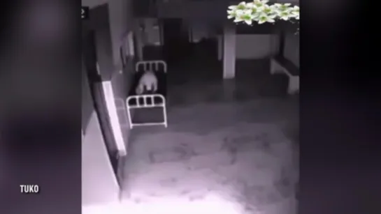 Real Video of Soul Leaving - Captured on CCTV in China