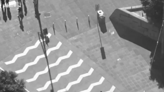 Teleportation Caught on CCTV Camera - Bird Disappears Caught on Tape