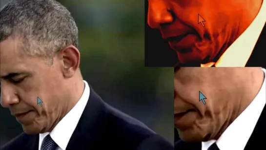 SPECIES - PRESIDENT OBAMA - REPTILIAN SKIN SHAPESHIFTING