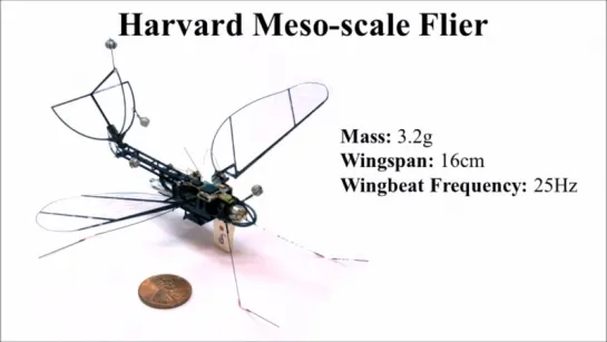 Harvards Untethered Flapping-Wing Platform