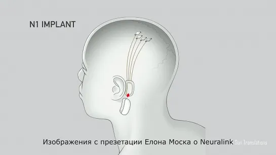 Магнус Олссон.Кибер преступления против человечества.