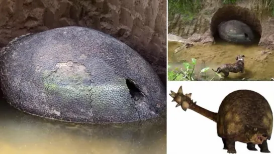 A man sees a weird object in the Riverbank Ends up Changing history