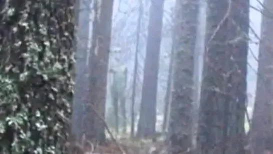 Bulgarian hikers capture clear photo of giant, gray humanoid like alien