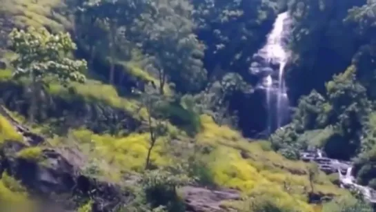 Strange Creature Walking Through Waterfall