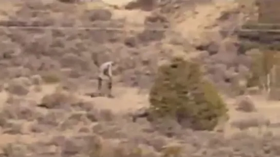 Real Alien Sighting _ The Creepiest Alien Creature Caught on Tape From Navajo Nation