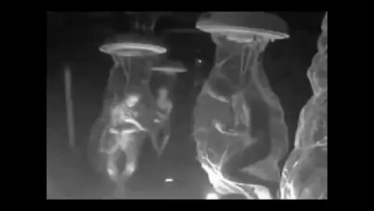 ▶ The Prisoners of Dulce Base by sherry shriner YouTube 360p